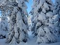 2010-01-31, Altenberg (7)
